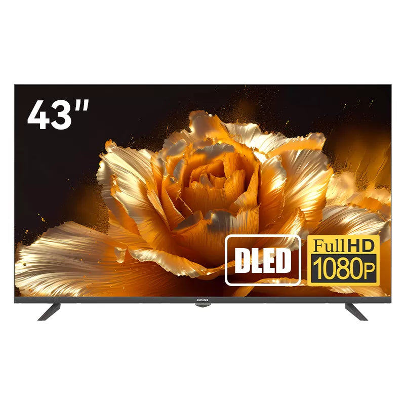 Aiwa 43" Televízor TS-431NF - Synavo